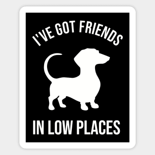 Dachshund, I've Got Friends In Low Places Magnet